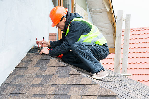 Best Metal Roofing Contractor  in Mcgraw, NY