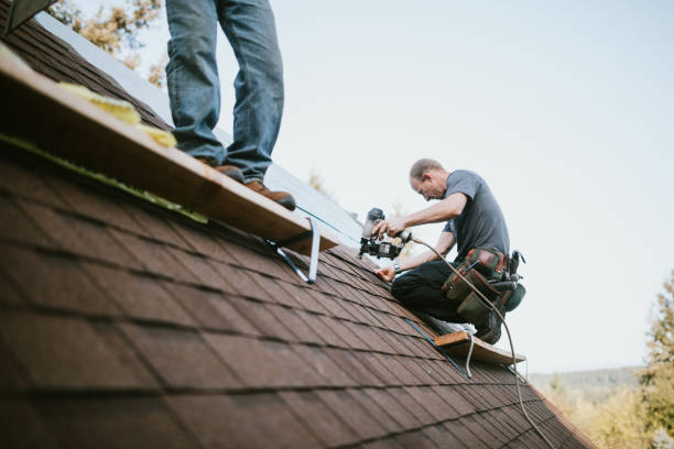 Best Roof Gutter Cleaning  in Mcgraw, NY